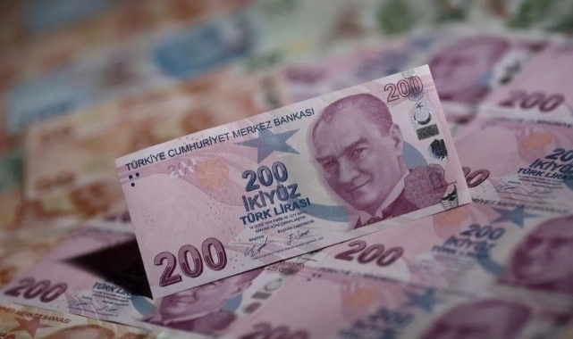 Hazine 19,8 milyar lira borçlandı