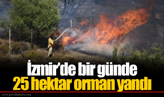 İzmir’de bir günde 25 hektar orman yandı