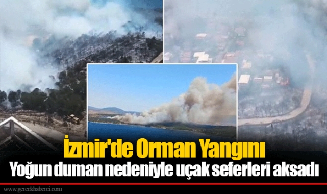 İzmir'de Orman Yangını... Yoğun duman nedeniyle uçak seferleri aksadı