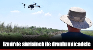 İzmir’de sivrisinek ile dronlu mücadele