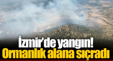 İzmir'de yangın! Ormanlık alana sıçradı