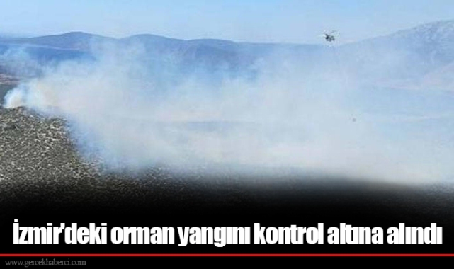 İzmir'deki orman yangını kontrol altına alındı