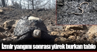 İzmir yangını sonrası yürek burkan tablo