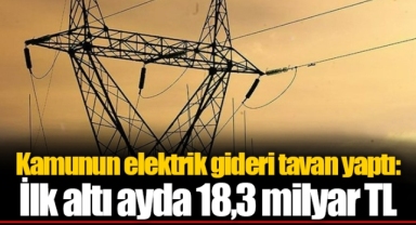 Kamunun elektrik gideri tavan yaptı: İlk altı ayda 18,3 milyar TL
