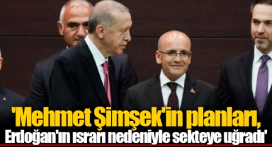 'Mehmet Şimşek'in planları, Erdoğan'ın ısrarı nedeniyle sekteye uğradı'