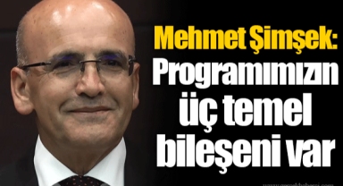 Mehmet Şimşek: Programımızın üç temel bileşeni var