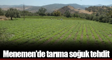 Menemen'de tarıma soğuk tehdit