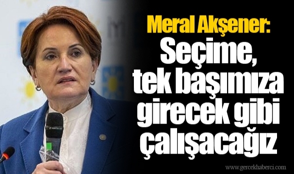 Meral Akşener: Seçime, tek başımıza girecek gibi çalışacağız