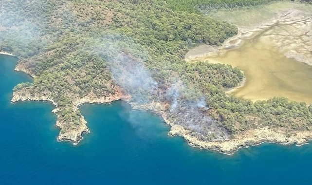 Muğla'da orman yangını: 2 hektarlık alan zarar gördü