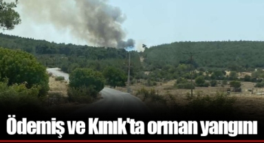 Ödemiş ve Kınık'ta orman yangını