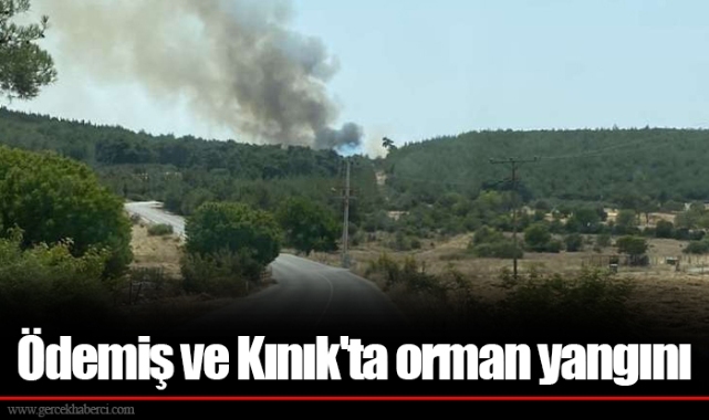 Ödemiş ve Kınık'ta orman yangını
