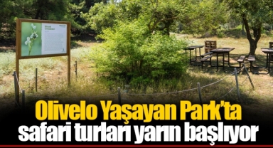 Olivelo Yaşayan Park’ta safari turları yarın başlıyor
