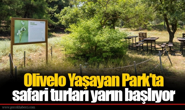 Olivelo Yaşayan Park’ta safari turları yarın başlıyor