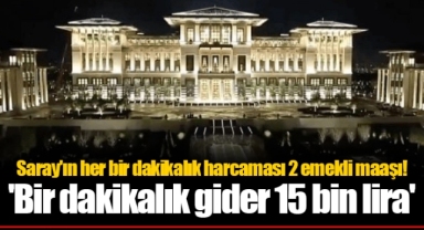 Saray'ın her bir dakikalık harcaması 2 emekli maaşı! 'Bir dakikalık gider 15 bin lira'