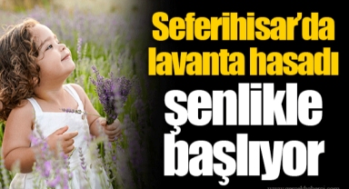 Seferihisar’da lavanta hasadı şenlikle başlıyor