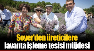 Soyer'den üreticilere lavanta işleme tesisi müjdesi