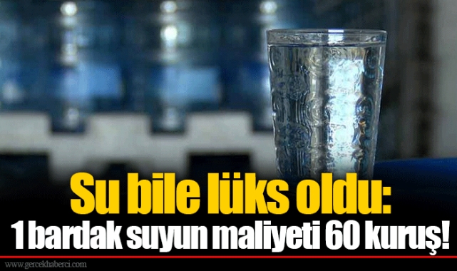 Su bile lüks oldu:  1 bardak suyun maliyeti 60 kuruş!