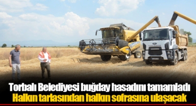 Torbalı Belediyesi buğday hasadını tamamladı