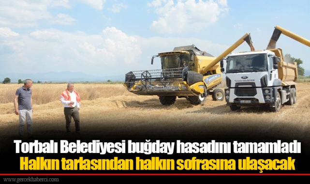 Torbalı Belediyesi buğday hasadını tamamladı