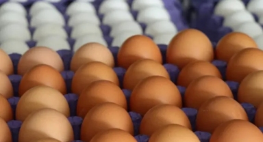 Türk Yumurtaları Kanser Saçıyor! Ülke Tazminat İstedi...