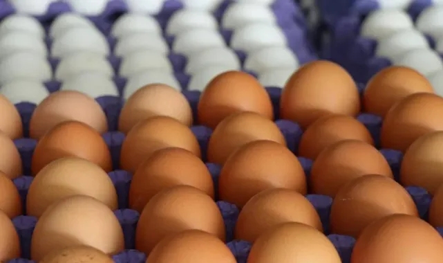 Türk Yumurtaları Kanser Saçıyor! Ülke Tazminat İstedi...