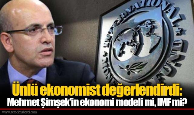 Ünlü ekonomist değerlendirdi: Mehmet Şimşek'in ekonomi modeli mi, IMF mi?