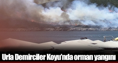Urla Demirciler Koyu'nda orman yangını