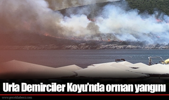 Urla Demirciler Koyu'nda orman yangını 