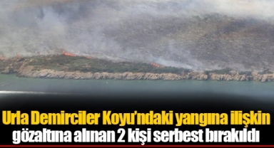 Urla Demirciler Koyu'ndaki yangına ilişkin gözaltına alınan 2 kişi serbest bırakıldı