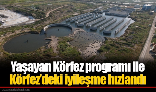 Yaşayan Körfez programı ile Körfez’deki iyileşme hızlandı
