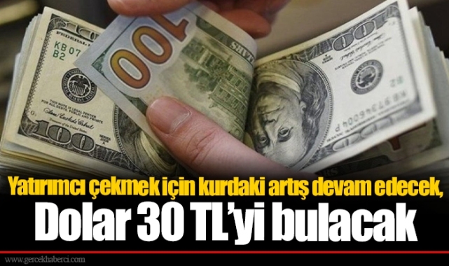 Yatırımcı çekmek için kurdaki artış devam edecek, Dolar 30 TL’yi bulacak