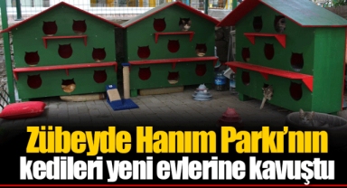 Zübeyde Hanım Parkı’nın kedileri yeni evlerine kavuştu