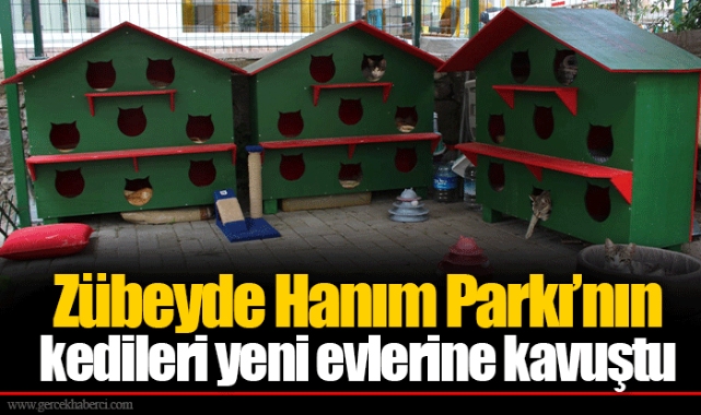 Zübeyde Hanım Parkı’nın kedileri yeni evlerine kavuştu
