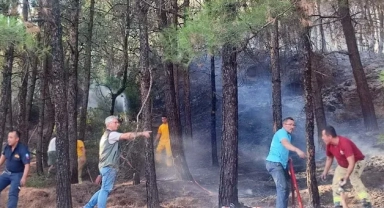10 dönüm orman kül oldu: Ormanı büyü bozmak için yakmış