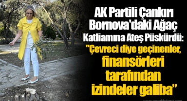  AK Partili Çankırı Bornova'daki Ağaç Katliamına Ateş Püskürdü:  " Çevreci diye geçinenler, finansörleri tarafından izindeler galiba”