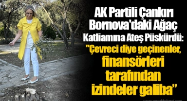  AK Partili Çankırı Bornova'daki Ağaç Katliamına Ateş Püskürdü:  " Çevreci diye geçinenler, finansörleri tarafından izindeler galiba”