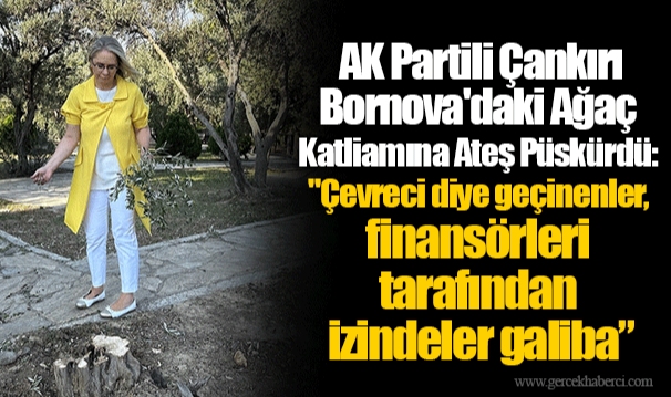  AK Partili Çankırı Bornova'daki Ağaç Katliamına Ateş Püskürdü:  " Çevreci diye geçinenler, finansörleri tarafından izindeler galiba”