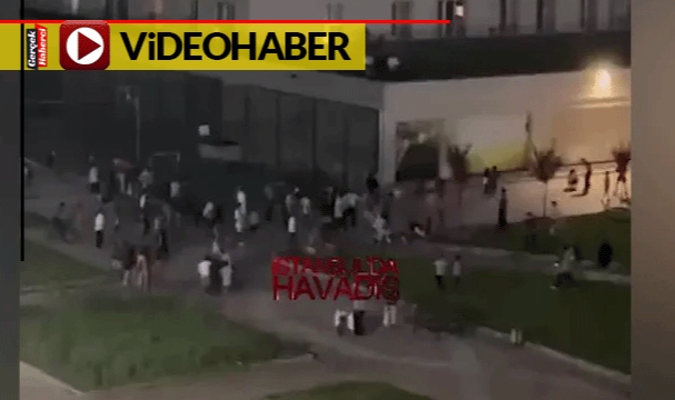 Alıştık artık diyerek videoya aldı: Onlarca Arap birbirine girdi
