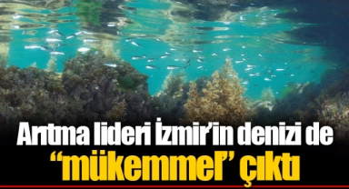 Arıtma lideri İzmir’in denizi de “mükemmel” çıktı