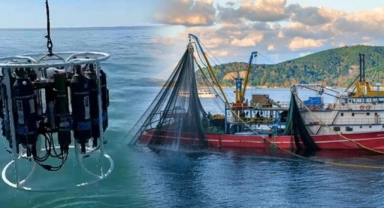Balıkçılık tehlikede! Deniz suyu yüzey sıcaklıklarında korkutan artış