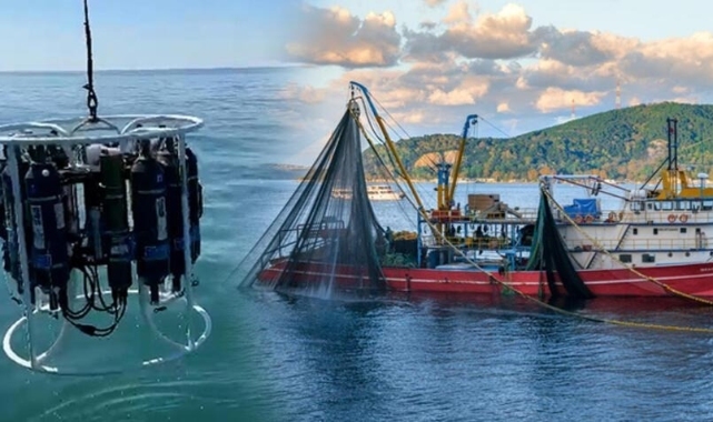 Balıkçılık tehlikede! Deniz suyu yüzey sıcaklıklarında korkutan artış