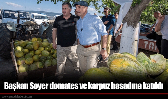 Başkan Soyer domates ve karpuz hasadına katıldı