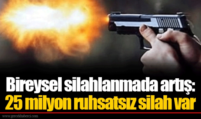 Bireysel silahlanmada artış: 25 milyon ruhsatsız silah var