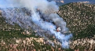 Bolu'da orman yangını: Rüzgarın da etkisiyle yayılıyor
