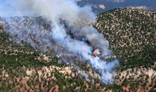 Bolu'da orman yangını: Rüzgarın da etkisiyle yayılıyor