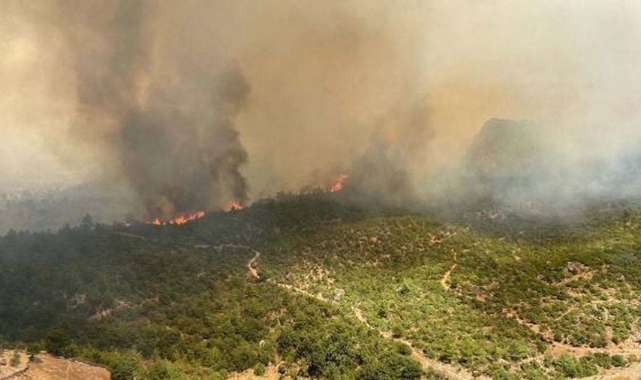 Çanakkale'de orman yangını: 1 köy boşaltıldı, Çanakkale-Çan karayolu trafiğe kapatıldı