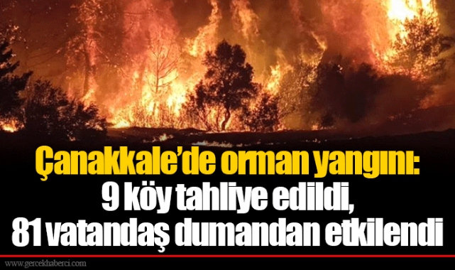 Çanakkale'de orman yangını: 9 köy tahliye edildi, 83 vatandaş dumandan etkilendi