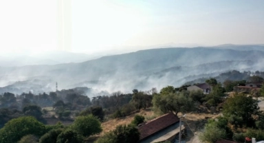 Çanakkale’deki orman yangını rüzgarla yeniden alevlendi