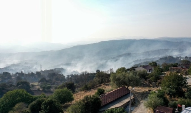Çanakkale’deki orman yangını rüzgarla yeniden alevlendi