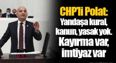 CHP’li Polat: Yandaşa kural, kanun, yasak yok. Kayırma var, imtiyaz var